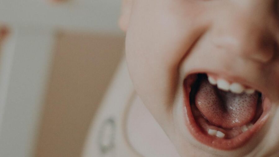 Baby Teeth Stem Cells Reverse Motor Deficits in Cerebral Palsy Model