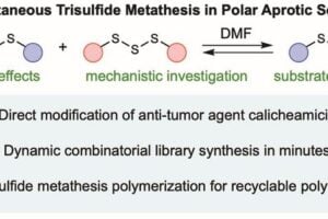 The research shows sulfur-sulfur bonds can be formed and broken rapidly and cleanly at room temperature, opening new avenues for drug development, biotech and protein science, and chemical and material science.
