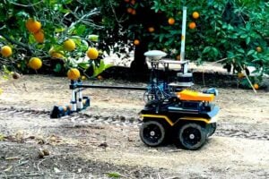 A robot designed to assist with precision irrigation in action, in a citrus orchard.