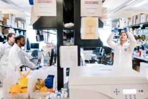 Scientists in the Marson Lab at Gladstone Institutes have opened a new door to understanding HIV by creating the first genetic roadmap of how the virus interacts with real human cells.