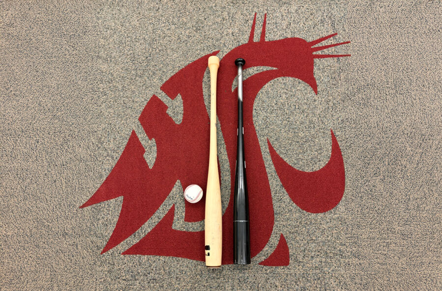 Nine Home Runs, One Weird-Shaped Bat, and a Physics Lab That Burst the Bubble