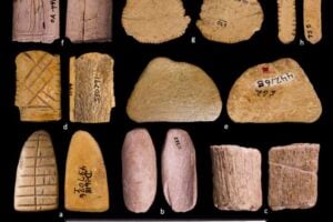 native american dice
