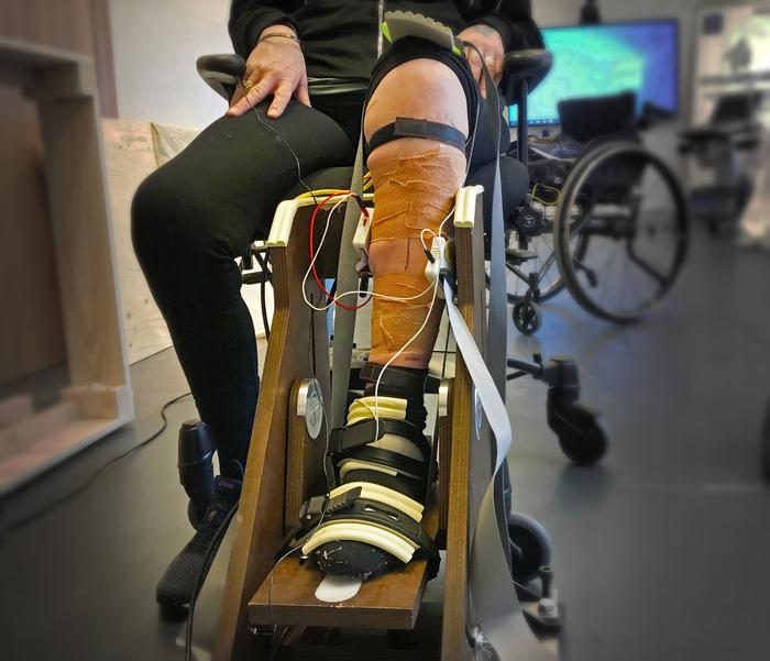 Your Muscles Can Walk After a Spinal Cord Injury, but the Signals Driving Them Tell a Different Story