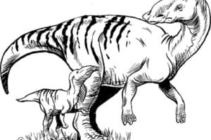 Artist's reconstruction of adult Maiasaura and young. Illustration by Brian Regal.