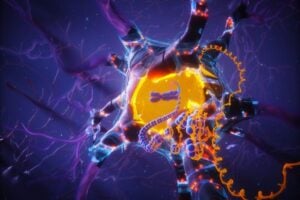 This image is an artistic representation of how APOE2 promotes resilience to cellular senescence maintaining the integrity of DNA and the nuclear envelope. We show a neuron protected by APOE2 represented as orange dots across the cell, with a blue mesh representing the resistance to senescence. We highlight in golden the integrity of the nucleus and the protected genome.