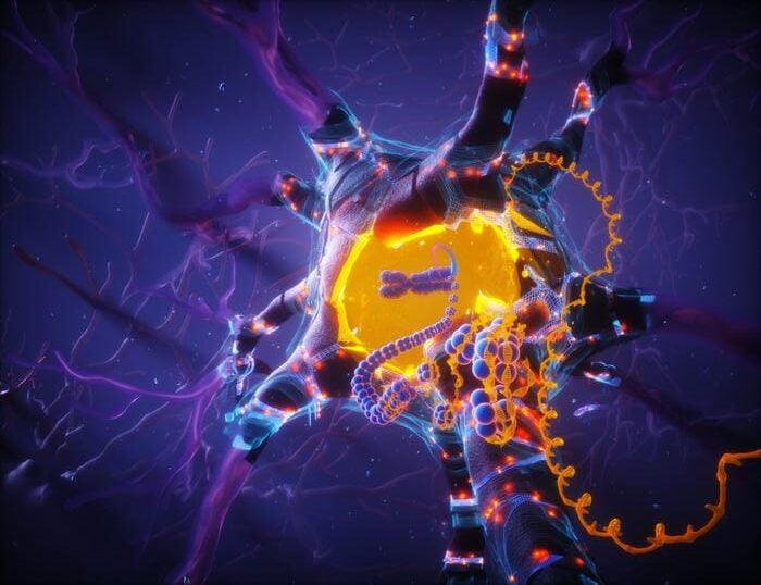 APOE2 Keeps Neurons Young by Fixing Their DNA Before It Falls Apart