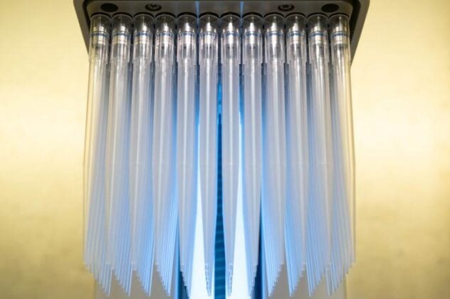An electronic 96-channel pipette was one of the tools used to scale up and allow the team to perform over 7,000 parallel experiments that uncovered more than 100 bNAb escape mutations across 15 viral strains.