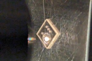 A photo of a 5 mm x 5 mm diamond chip on a room-temperature measurement setup, with arrays of mechanical resonators visible.