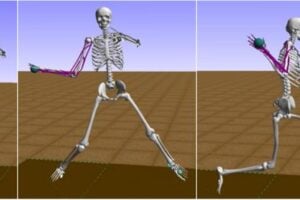 A digital skeleton developed by researchers at the University of Waterloo shows the stages in a typical baseball pitching delivery (University of Waterloo).
