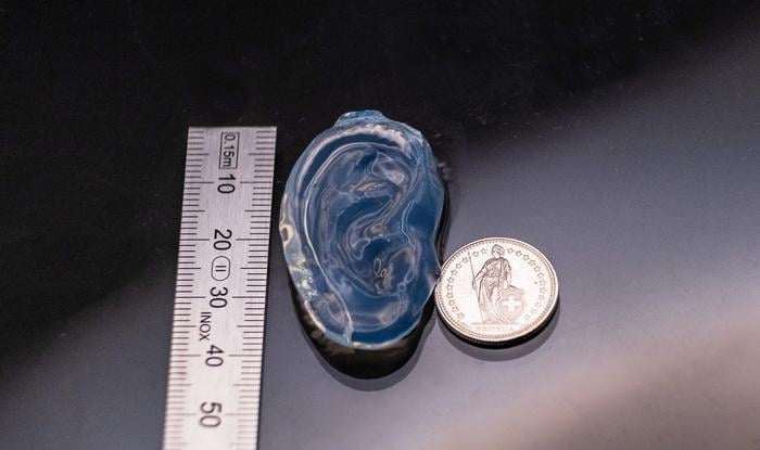 Human ear model printed in a gelatin-based resin using holographic VAM. 2026 LAPD EPFL CC BY SA