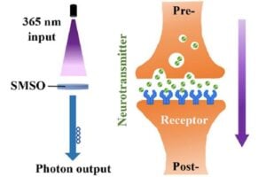 A photon-modulated synaptic device based on a rare-earth-doped long-afterglow crystal facilitates excitatory (UV-induced) and inhibitory (near-infrared induced) plasticity. This schematic depicts the excitatory impulse wit luminescence as the optical output.