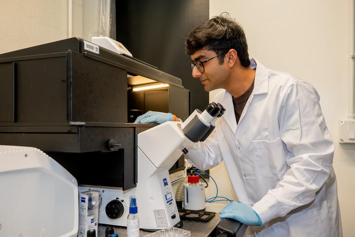 A 1940s Math Trick Just Unlocked the Hidden Rules Written Inside Your DNA