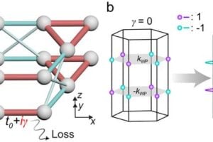 IMAGE1: Lattice model and formation of Weyl exceptional rings. a, Schematic of the 3D lattice in a rhombic prism geometry, with three sublattices in a unit cell. b, Distributions of the Weyl points (left panel) and Weyl exceptional rings (right panel) in the Brillouin zone. The topological charges of Chern number are indicated by the purple (+1) and cyan (-1) colors.
