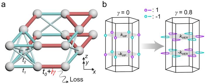 IMAGE1: Lattice model and formation of Weyl exceptional rings. a, Schematic of the 3D lattice in a rhombic prism geometry, with three sublattices in a unit cell. b, Distributions of the Weyl points (left panel) and Weyl exceptional rings (right panel) in the Brillouin zone. The topological charges of Chern number are indicated by the purple (+1) and cyan (-1) colors.