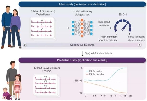 infographic on heart study