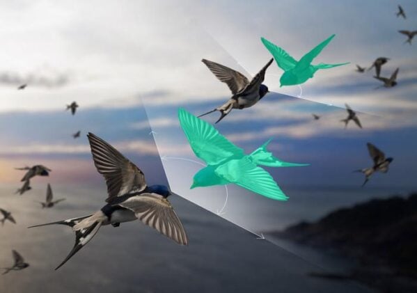 Collective systems such as bird flocks, bacterial colonies, and migrating tissue cells often exhibit interactions that violate Newton's third law, because individual members respond only to selected parts of their environment rather than equally to one another. Physicists at the Cluster of Excellence ct.qmat in Dresden developed a new theoretical framework that accurately captures and simulates these "non-reciprocal" interactions. The key innovation is the introduction of auxiliary degrees of freedom, illustrated here as green birds, which provide the flexibility needed to model systems where action and reaction are not balanced. This approach enables more precise descriptions of complex collective behaviors that fall outside the assumptions of conventional physics.