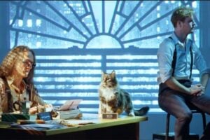 ‘Don’t scare the cat!’ A team of UNSW researchers has developed a new way to check for errors in quantum computers without significantly disrupting the fragile quantum information they rely on.