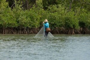a man fishing in front of a mangrove cluster
