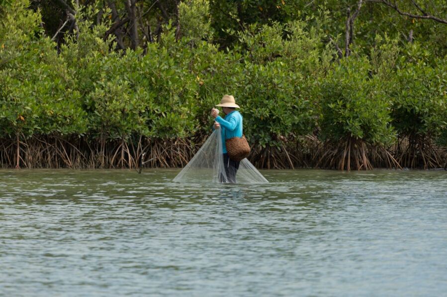 a man fishing in front of a mangrove cluster