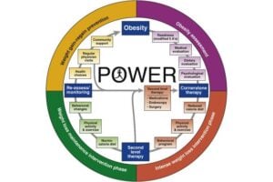 The figure provides a comprehensive, multidisciplinary process to guide and personalize innovative obesity care.