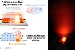 When the transistor operates, a hole channel forms while a cation-induced electric double layer builds up at the drain electrode. This lets electrons and holes recombine to produce light. The effect depends on cations migrating on their own, driven by the ion-transport enhancer in the active layer. Because this double-layer charge injection is stable and efficient, the device emits bright, steady light even with a single active layer.