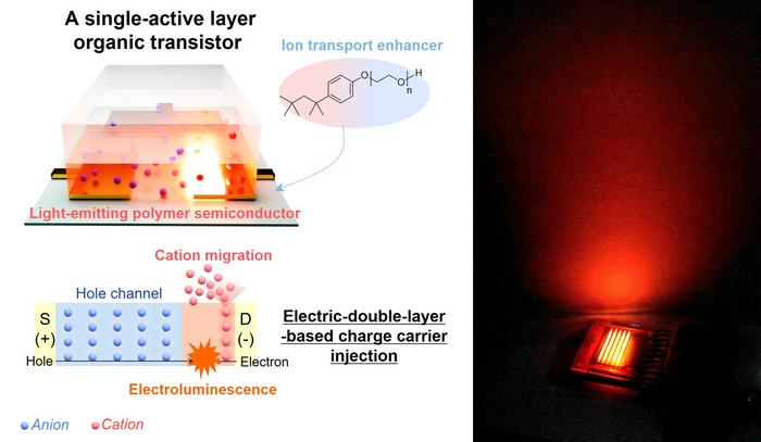 When the transistor operates, a hole channel forms while a cation-induced electric double layer builds up at the drain electrode. This lets electrons and holes recombine to produce light. The effect depends on cations migrating on their own, driven by the ion-transport enhancer in the active layer. Because this double-layer charge injection is stable and efficient, the device emits bright, steady light even with a single active layer.