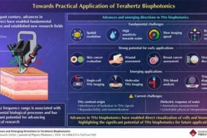 Researchers highlight the potential of THz biophotonics as an emerging interdisciplinary research field and present a technological roadmap toward its broader implementation.