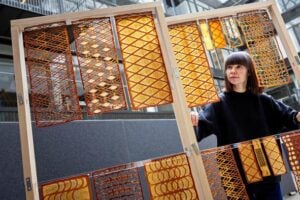 Researchers at Chalmers University of Technology, Sweden, have developed a new, entirely bio-based material from a somewhat unexpected ingredient: yeast.
