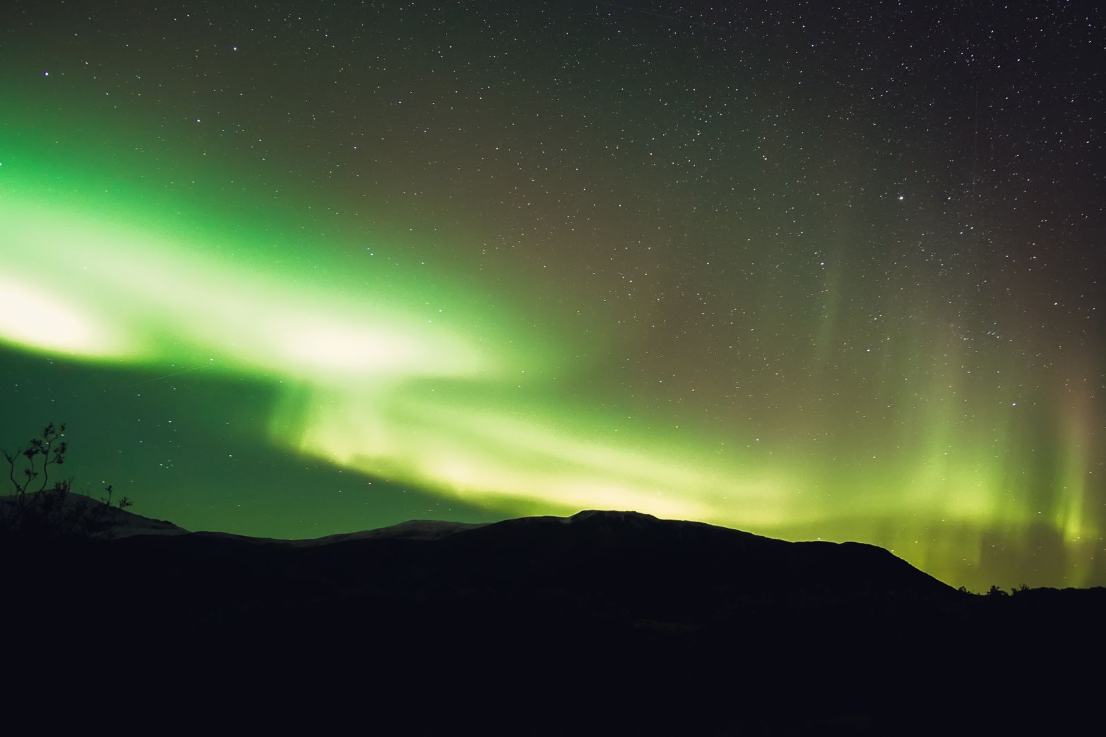 aurora borealis night sky