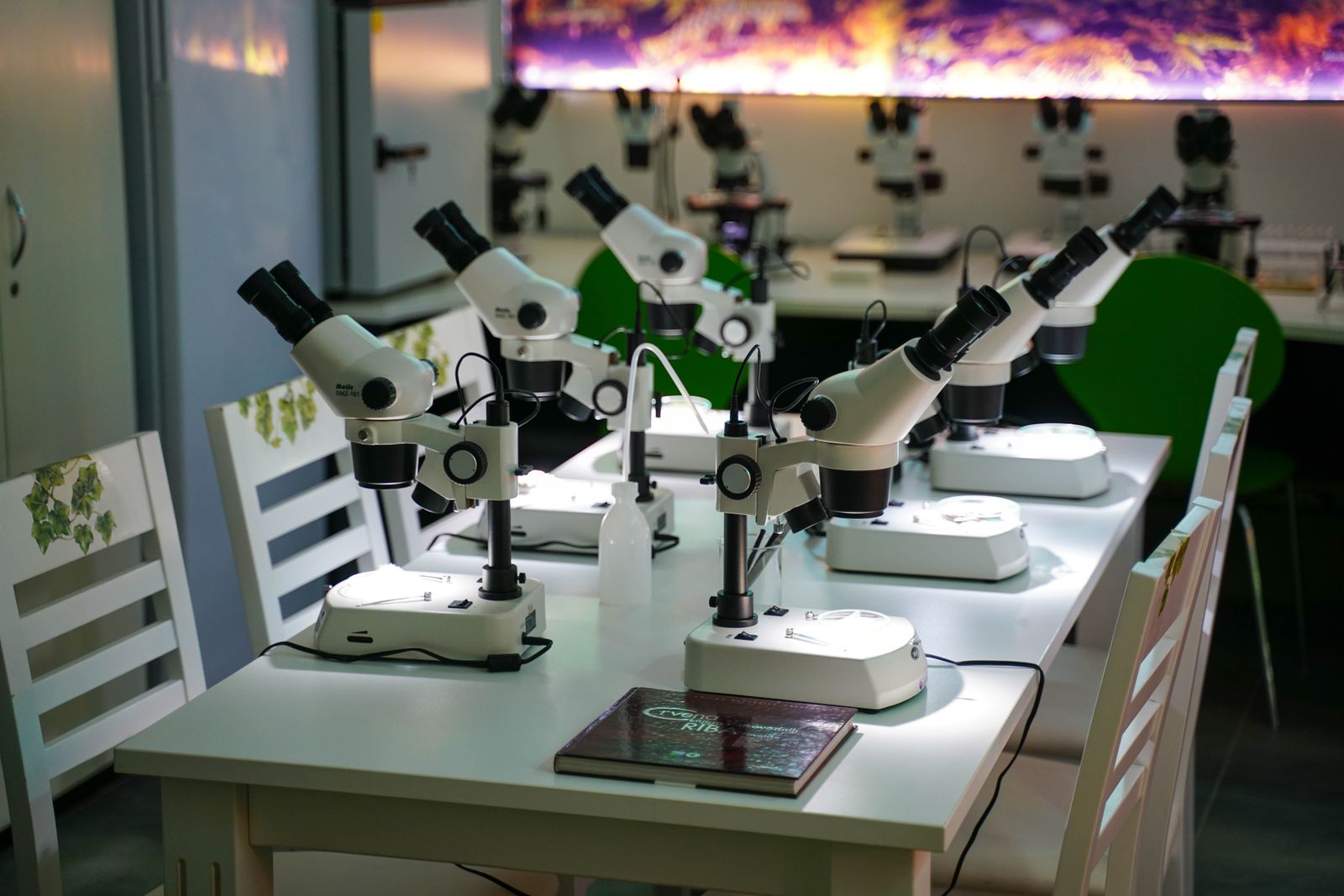 Rosalind Franklin laboratory