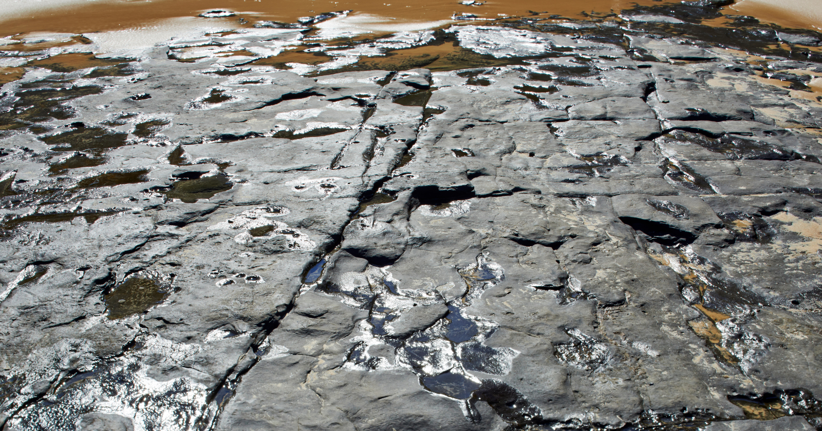 Dark cracked rock with water pooled across its surface