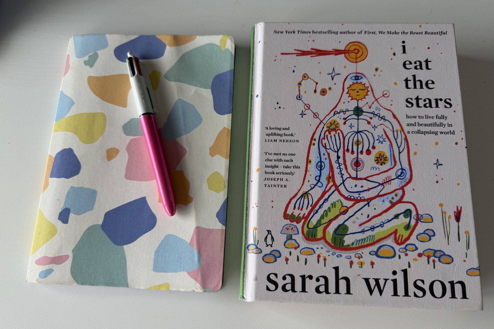 Notebook, pen and a book titled Eat the Stars on a table