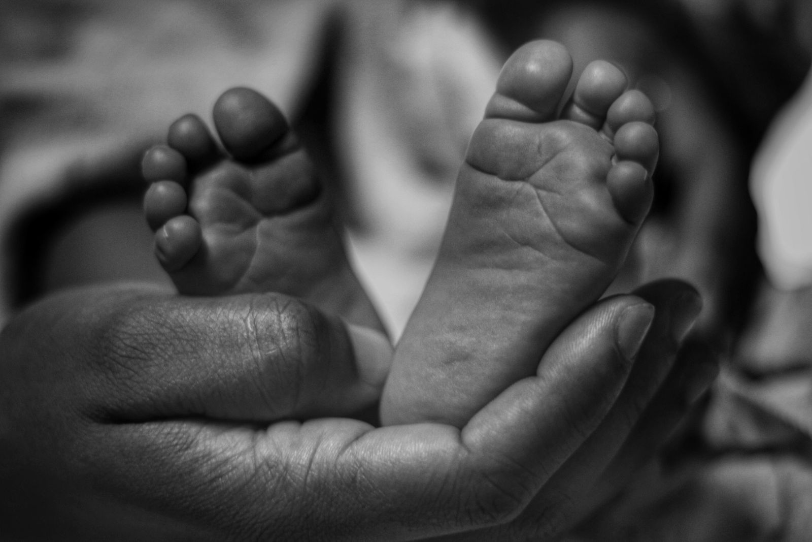 At birth, a human infant has roughly 300 separate bones held together by cartilage that will slowly fuse; by adulthood only 206 remain, meaning the skull, spine
