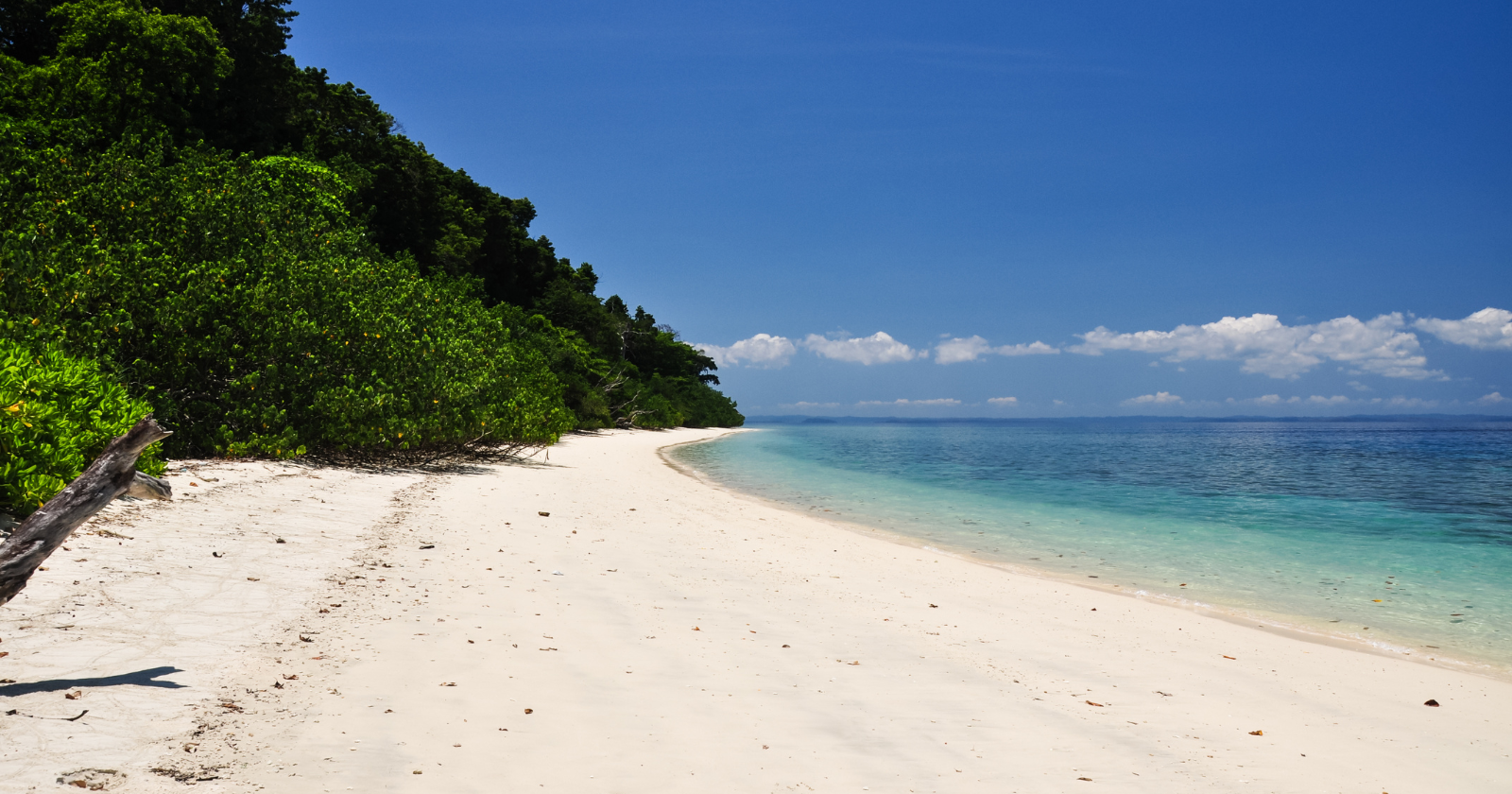 Representative image. This photograph does not show North Sentinel Island.
