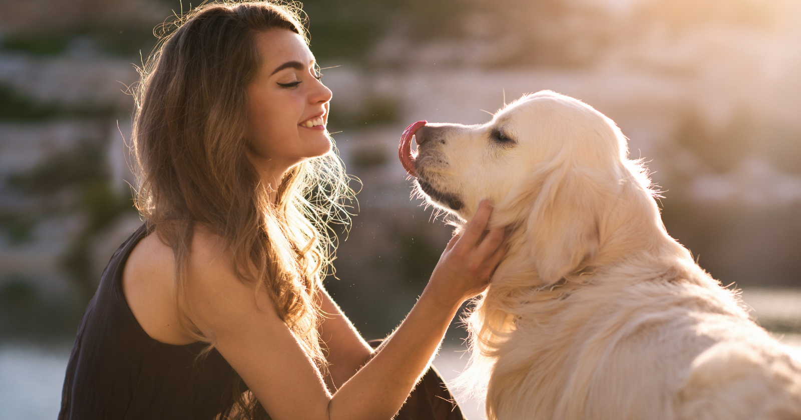 When a human and a dog gaze into each other's eyes, both of them release oxytocin — the same hormone released between a human mother and her infant during nursing — and Japanese researchers reported in 2015 that this cross-species chemical feedback loop appears to be unique to dogs and their humans and does not occur in wolves