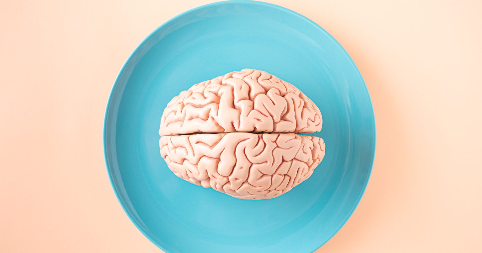 A human brain model placed on a blue plate, viewed from above against a pastel background.