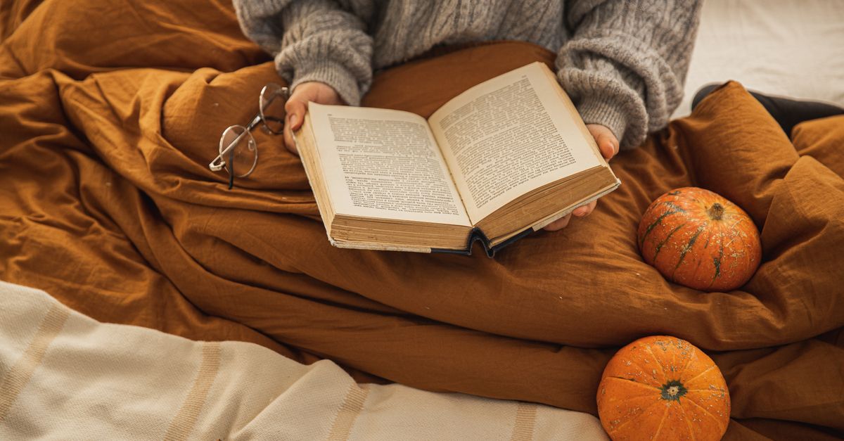 A person reading a book in a cozy setting
