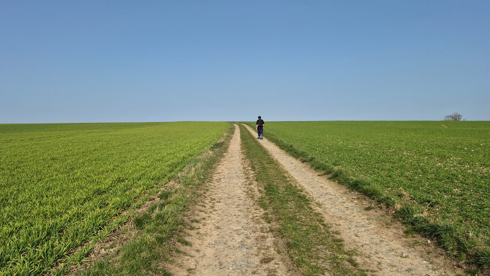 A lone person walking away along a rural path between fields