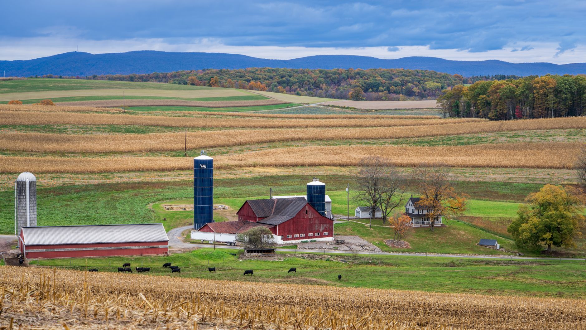 Red barns, silos and crop fields across a rural Pennsylvania landscape