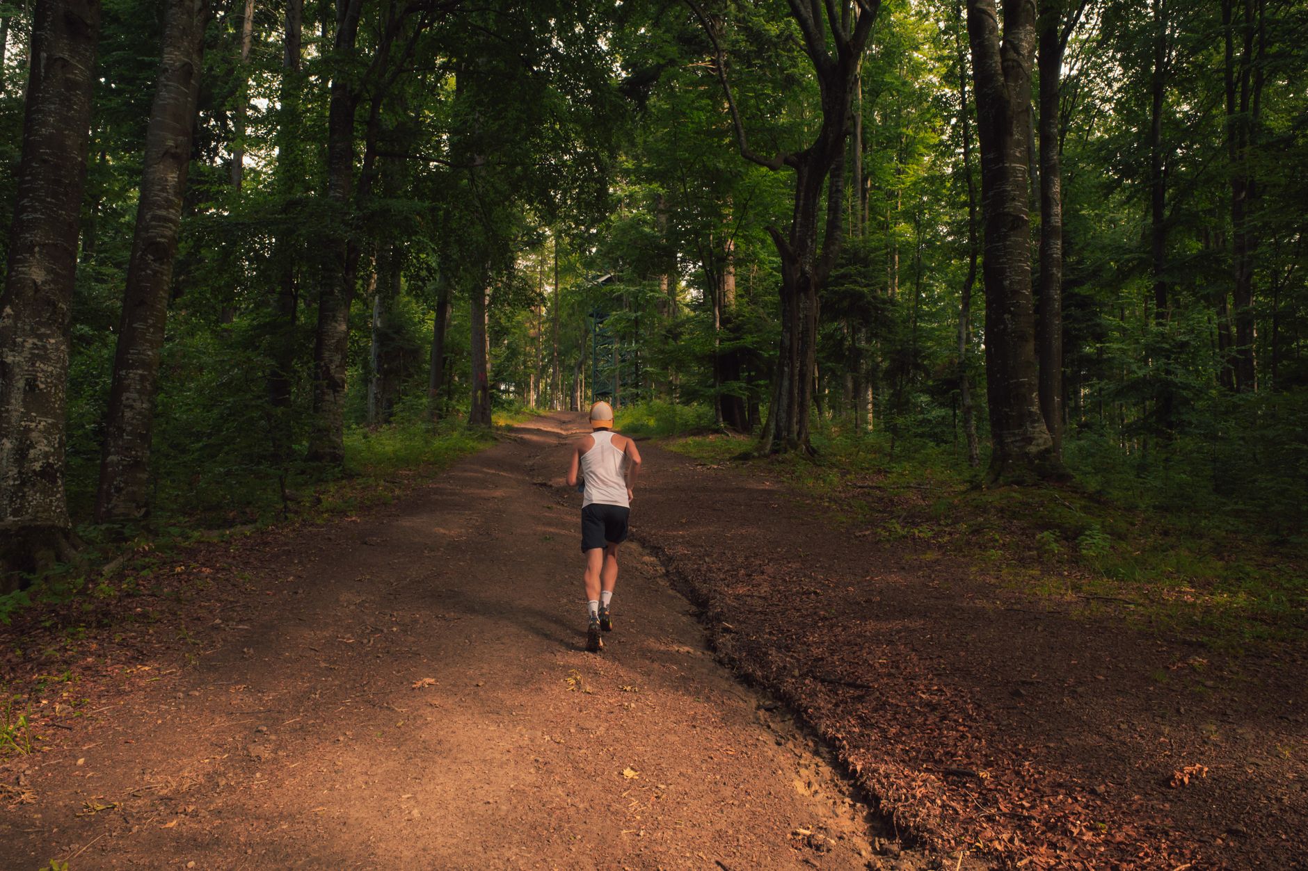 The runner’s high was attributed to endorphins for decades, but circulating endorphins cannot readily cross the blood–brain barrier—and blocking opioid receptors does not prevent runners from feeling euphoric. Evidence now points primarily to endocannabinoids, the body’s cannabis-like signalling molecules, although the full high probably involves several interacting brain systems.