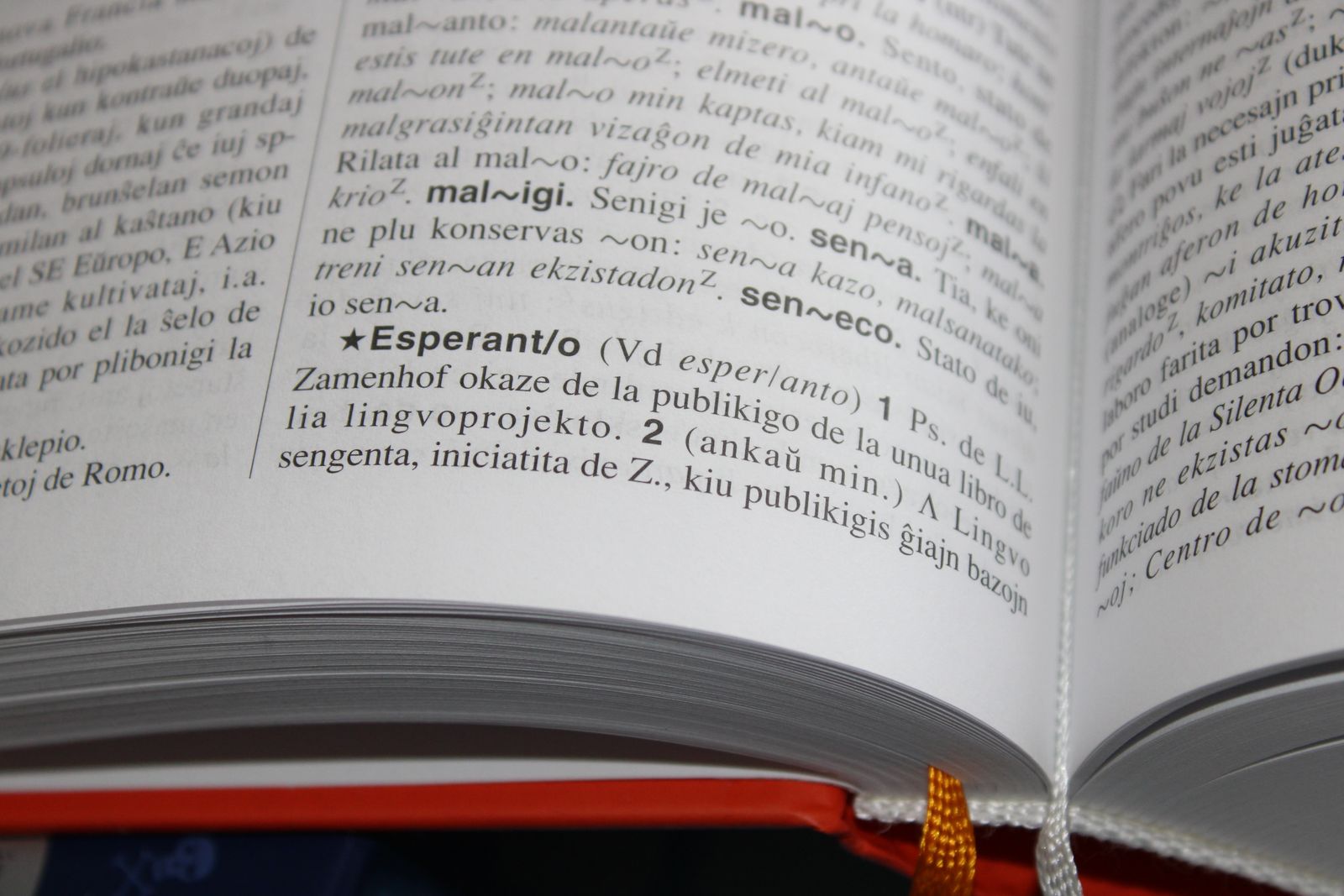 The size of a person's vocabulary is one of the best single predictors of their general intelligence, not because big words make anyone smarter, but because quietly acquiring and keeping thousands of them draws on the same ability an IQ test measures