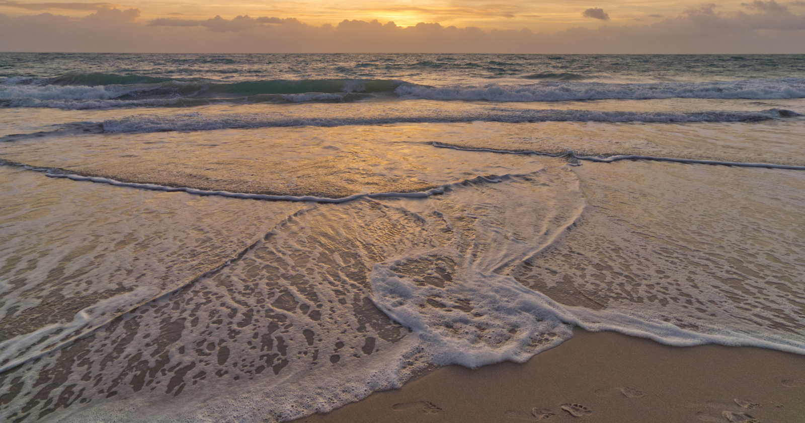 Waves washing across a sandy beach