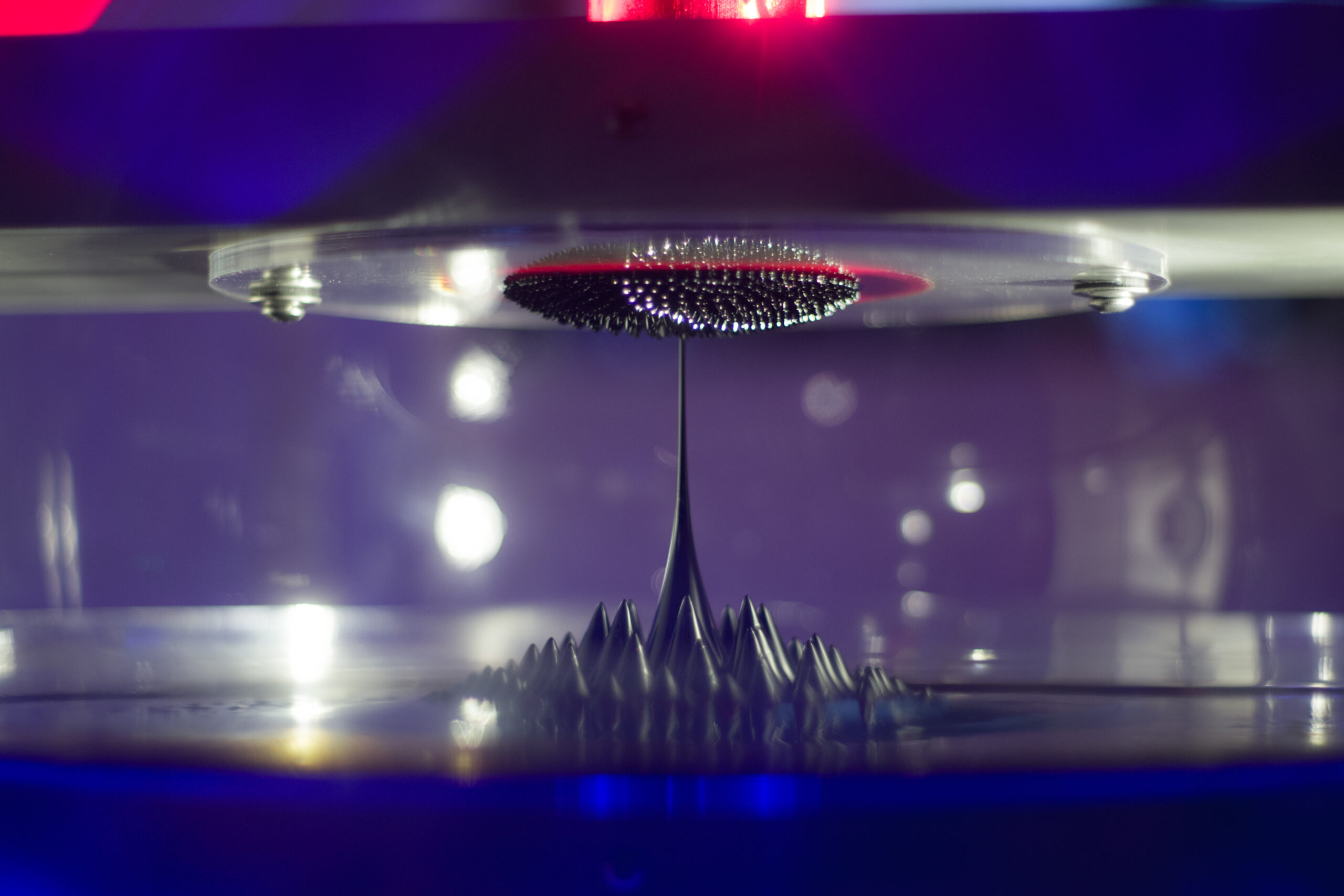 Ferrofluid forming spikes in a magnetic field — thematic for membrane-free magnetic oil microplastic filtration. Ashwin Kumar / Wikimedia Commons (CC BY-SA 2.0)