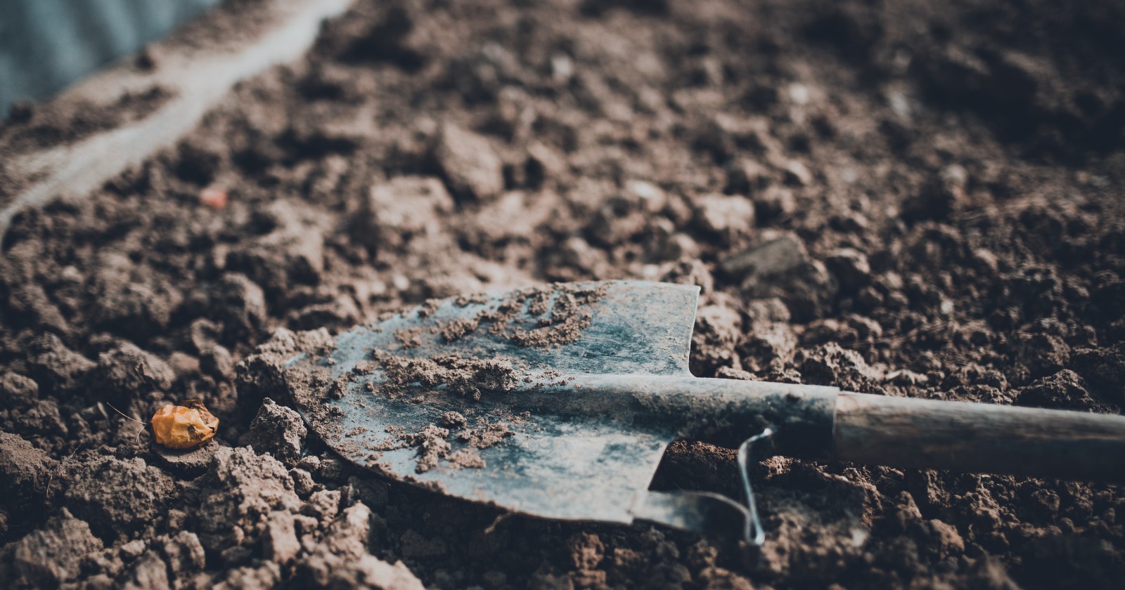A metal hand-trowel blade lying on freshly turned crumbly brown garden soil in warm light