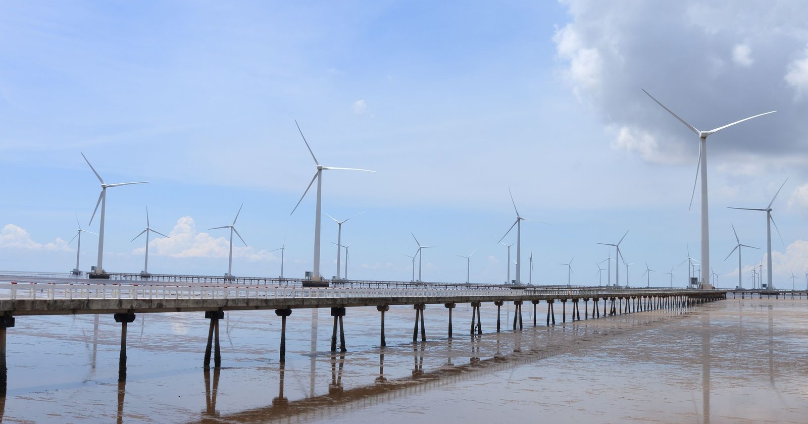 Wind farm along Vietnam's coastline with a clear blue sky backdrop.