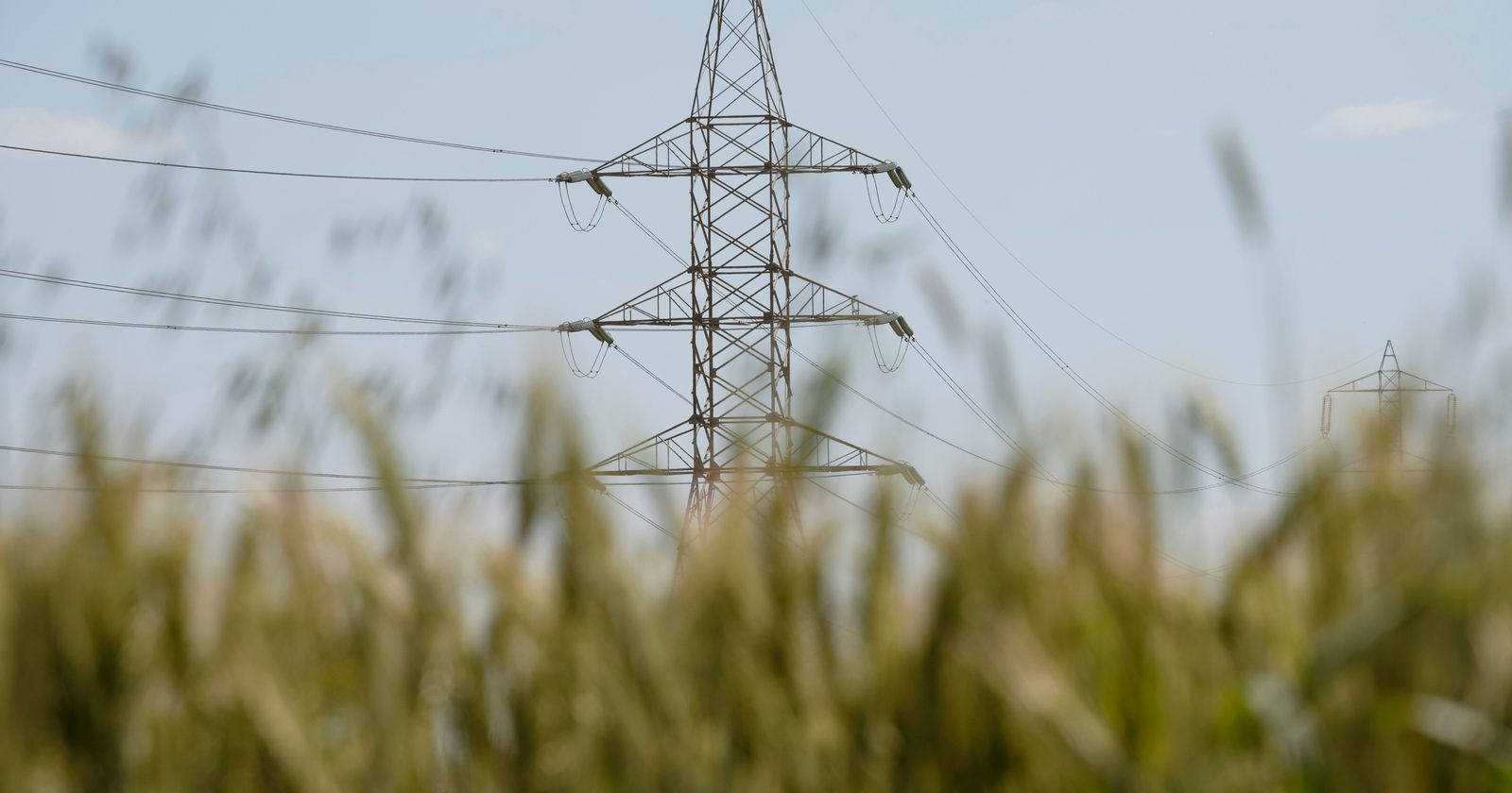 A transmission tower standing in a rural wheat field, symbolizing energy and agriculture.