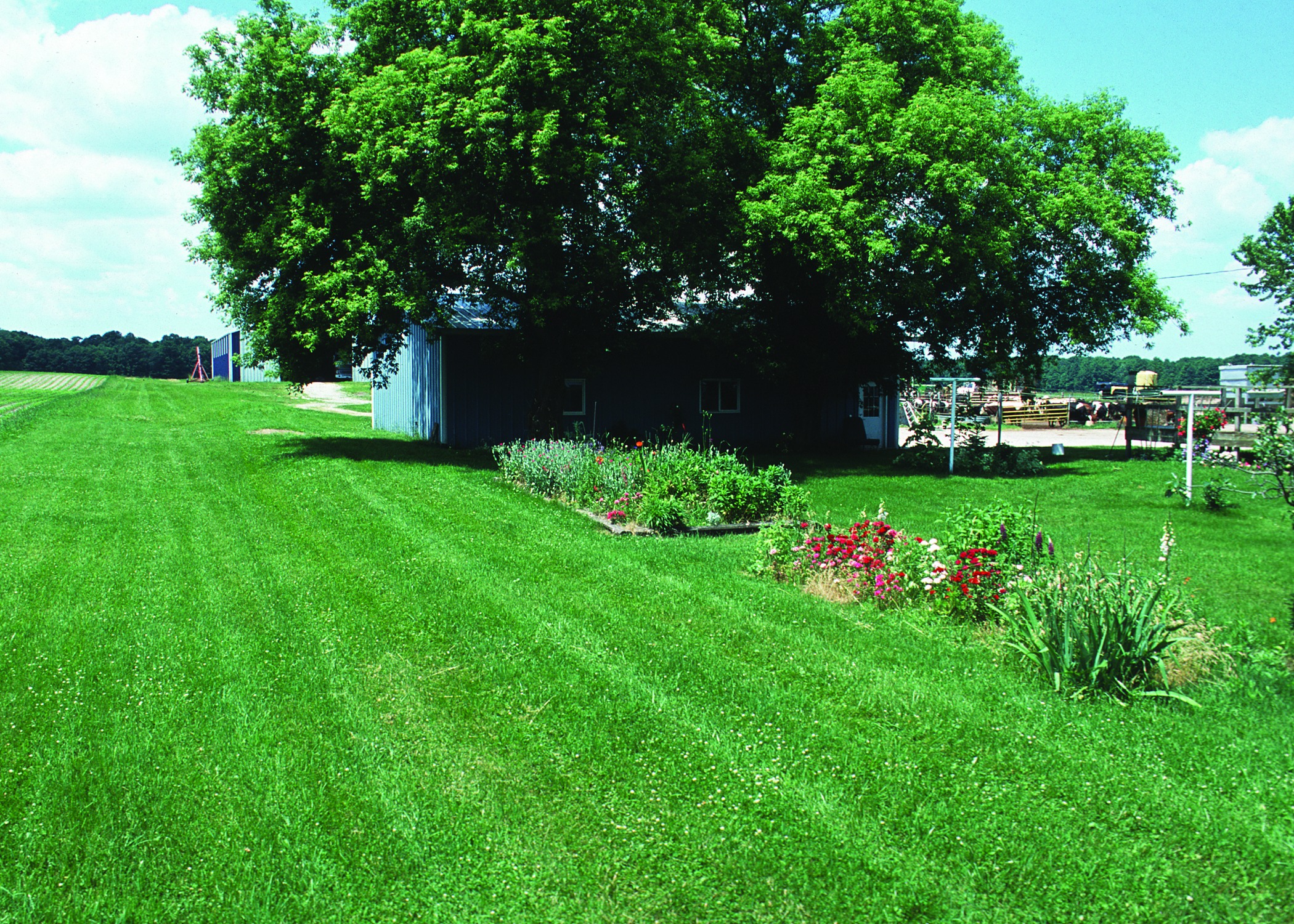 Farmstead diversion conservation practice on farmland in Grand Traverse County, Michigan