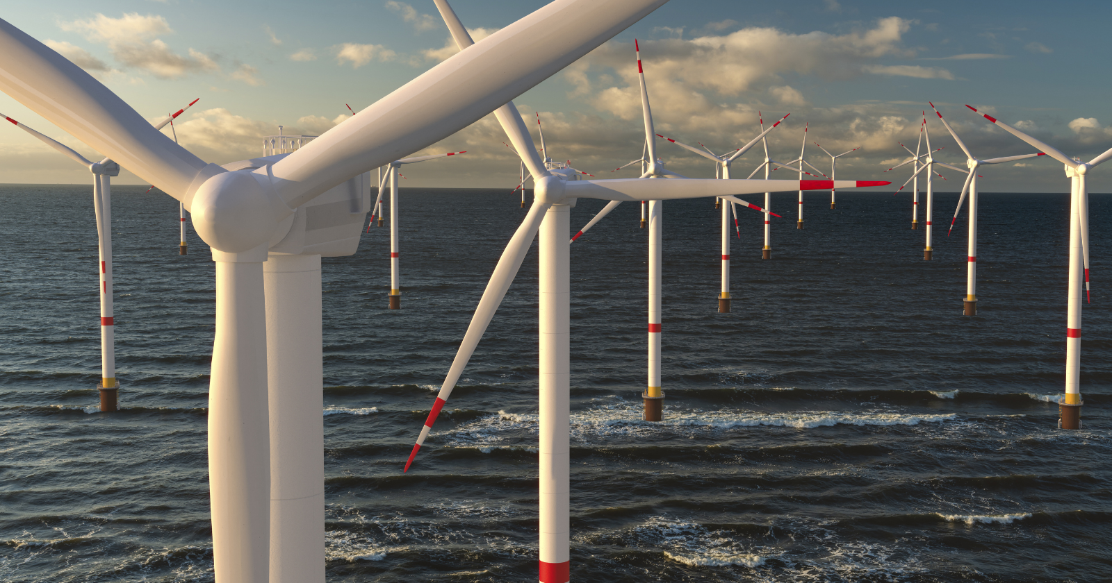 Cameras bolted to two turbines off the Kent coast recorded 606,554 videos across two years of fieldwork, 12,131 of them with a bird in the frame, and the entire archive held 6 collisions, every one in daylight and not one in the 48,000 clips shot after dark.