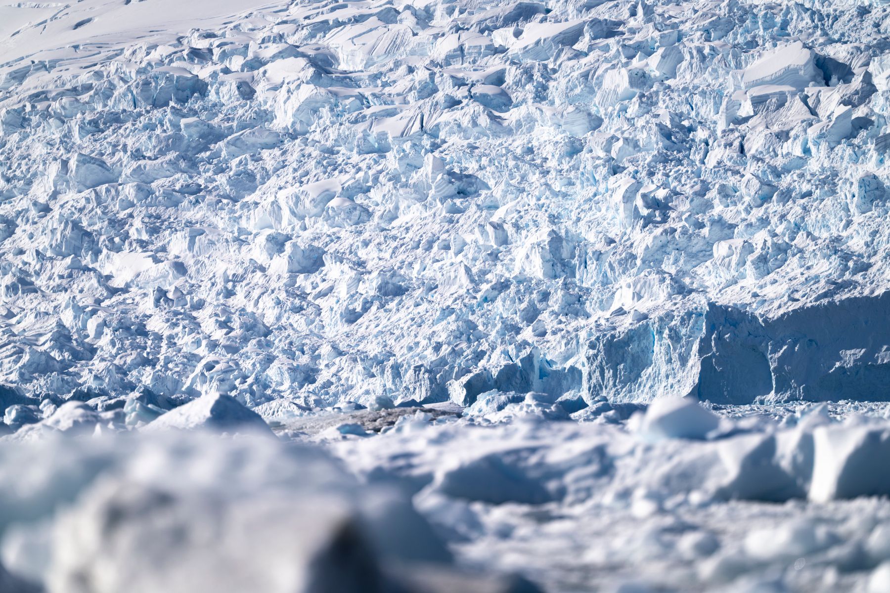Close view of broken blue-white ice across an Antarctic glacier