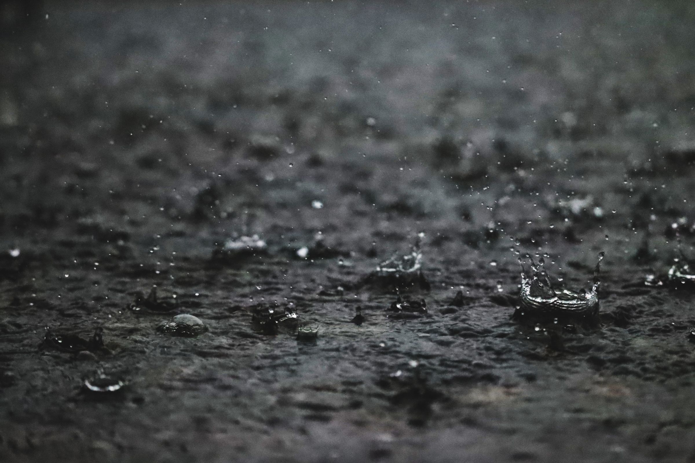 Close-up of raindrops splashing on a dark wet ground surface